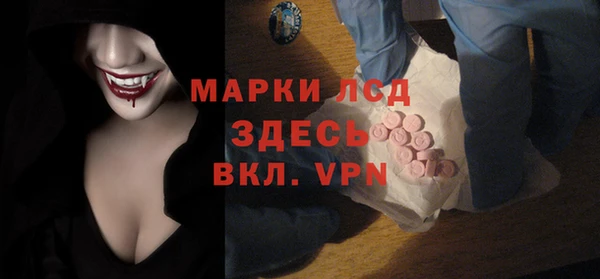 стафф Осташков