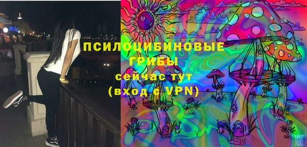 стафф Осташков