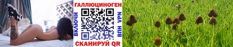 Псилоцибиновые грибы прущие грибы  мега зеркало  Перевоз  сколько стоит 
