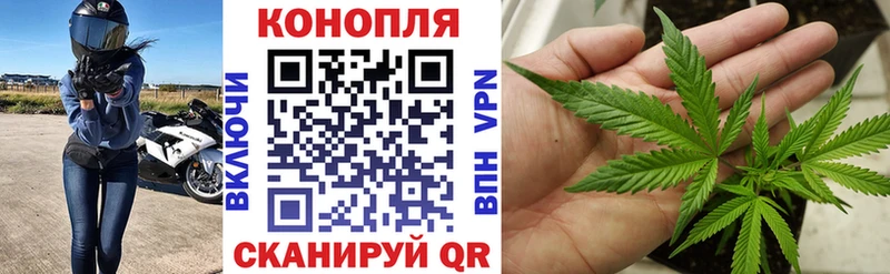 Конопля MAZAR  Перевоз 